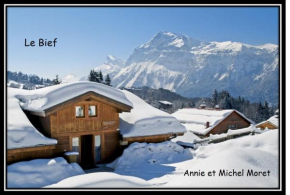 Demi-Chalet Le Bief --Prox pistes